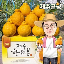 귤왕 농장 직배송 제주 하우스 노지 한라봉 2kg 3kg 5kg 10kg 가정용 명절 설 선물세트, 한라봉 가정용 혼합과 10kg