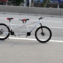 2인용자전거 가족자전거 2인승 3인승 패밀리 관광지 여행, 26인치 블랙 앤 화이트 비동기