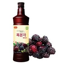 광야식품 복분자 베이스, 1, 970ml
