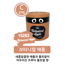 숲속의 자연클래스 젤타입 / 보타니컬 식물성오일함유 (3종 향선택) 젤타입 일본직수 일본차량용방향제 차량용품사이트 일본방향제 일본차량방향제 환경부 초록누리 안전기준 적합상품, C-선택: 보타니컬 애플 15283