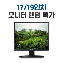 중고모니터 17인치 19인치 랜덤 LG DELL HP 다양한 브랜드, B급 기스/흰멍/이물질