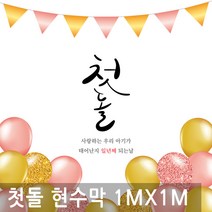 첫돌 축하 현수막 1m x 1m 생일 배너 행사 돌잡이 돌상 족자 플랜 카드, BN002.선택 - 첫돌 축하 1mx1m
