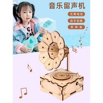 생활양판점 DIY 조립 종이오르골 수동 피아노 관람차 집 뮤직박스 쥬크박스, 수동식 오르골 보물 상자