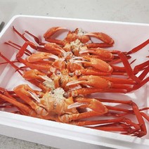 THE바다 포항 구룡포 홍게 자숙 박달형 해각포 당일조업 산지직송, 자숙 박달형 홍게 5마리