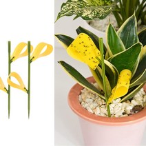 노랑 노란끈끈이트랩 뿌리파리 종이, 노랑끈끈이