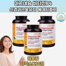 신경자극전달 근육수축이완 아세틸콜린 마그네슘 3통 마그네슘제제 마그네슘음식 근육경련 안면떨림 입떨림 20대 30대 40대 50대 60대 70대 남성 여성 임산부 임신부 임부 만삭