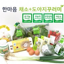 국내산 친환경 채소+도야지(+과일(1종)꾸러미(총9종)두부 유정란 콩나물 포함