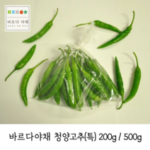 바르다야채 국내산 청양고추(특) 200g 500g (매운고추), 1개