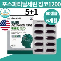 포스파티세린 포스타딜세린 디딜세린 포스파니딜세린 타파딜 분말 가루 파우더 아님 고함량 300g 식약처뇌영양제 대두레시틴 분말가루 고3 수험생 고시생 공시생 대치동 강남 영양제, 포스파티딜세린 징코1200 60캡슐x6박스
