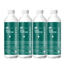 일라이트 한모금 물애담 미네랄워터 알칼리수, 20병, 500ML