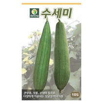 얼청갓 20g 얼청갓씨 얼청갓씨앗 갓씨앗 갓씨 채소씨앗 채소씨 야채씨앗 야채씨, 14_다농_수세미(10립)
