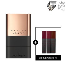 메가핏스틱파운데이션(글로우)+틴트(3종택1), 색상:2호(샌드베이지)+틴트(레드빈수프)+쇼핑백, 단품