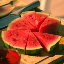 달콤 아삭 프리미엄 고당도 꿀수박 4kg, 1개