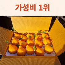 (가성비1위)제주 한라봉10kg 5kg 3kg 한라봉 산지직송 가정용 선물용, 한라봉 10KG/대과(37과내외)고당도