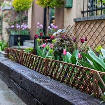 STARRY 화단울타리 DIY펜스 정원화단꾸미기, E