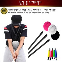 볼 자세교정기 스윙교정기 골프용품 필드용품