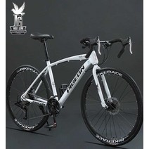 사이클 싸이클 초경량 남성 여성 스피닝자전거 입문용 고성능 트렉 가벼운, (스모크 그레이) 곡선 핸들바 - 21단