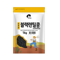 엉클탁 미국산 블랙렌틸콩 검정렌틸콩, 1개, 1kg