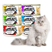 CATSOME 붐캣 고양이캔 80G 24개입(1BOX), 콤보(6종*4EA)