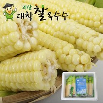 중독되는 맛 괴산대학찰옥수수/냉동/30개/무선별/못난이, 30개/괴산대학찰옥수수/무선별/찐거