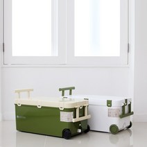 신와 리브웰 라군 아이스 박스, 그린, 45L