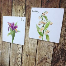 아트박스/꾸밈 ci757-스탠드액자2P_일러스트식물수채화31