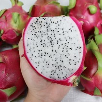 수입용과 프리미엄 열대과일 백용과 용과 2.5kg 5kg, 수입 백용과 용과 2.5kg, 1개
