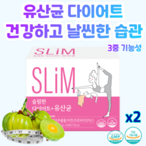 락토테미 슬림한 유산균 다이어트 장건강 면역기능 프로바이오틱스, 2개