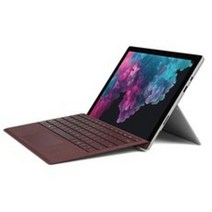 마이크로소프트 2019 Surface Pro 6 12.3 + 지문인식 타입커버 패키지, 플래티늄(버건디 시그니처타입커버 패키지), 코어i5, 256GB, 8GB, WIN10 Home, KJT-00010