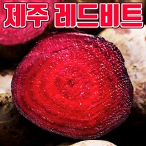 제주 레드비트 비트 빨간무, 2kg
