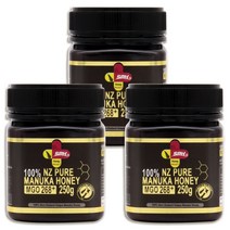 굿소일직구 SPH 프리미엄 퓨어 뉴질랜드 마누카 허니 MGO268+ 750g, kg당 메틸글리옥살 268mg 함유