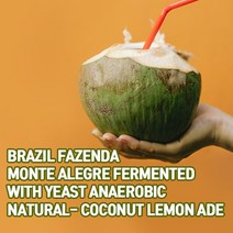 (커피생두) 232 브라질 파젠다 몬테알레그레 이스트발효 무산소 내추럴-코코넛 레몬에이드 1kg, 1개, 1