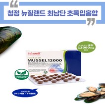 태파스토어 하이웰 프리미엄 홍합12000 200소프트젤 뉴질랜드초록홍합 뉴질랜드푸른홍합 초록입홍합추출오일 하이웰초록홍합 뉴질랜드초록홍합오일 mussel, 6개