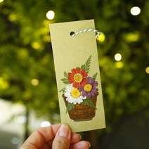 체크스토리 압화책갈피 만들기 컬러색지 1인 5인, 락스퍼+풍선덩쿨