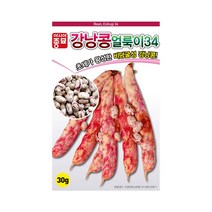 아시아종묘 얼룩이34 강낭콩 씨앗 30g 비덩굴성 적색 콩 씨