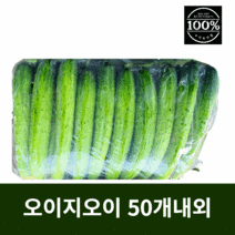 오이지오이 소박이용 오이 백다다기 백오이 1포, 50개내외(7kg이상)