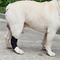 강아지슬개골탈구 포메라니안슬개골 슬개골 수술 탈골 깁스 강아지관절보호대 보호대 1P 강아지무릎보호대, 2애견슬개골보호대 M