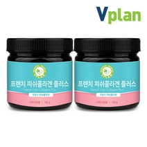 브이플랜 먹는 저분자 어류 피쉬콜라겐 펩타이드 2통 300g, 단품, 단품