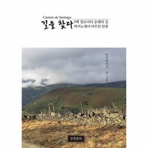 길을 찾다:8백 킬로미터 순례의 길 까미노에서 마주친 인생, 동행출판, 안미쁜아기 저