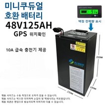 고용량 배터리 48V 125Ah 미니쿠듀얼 N7 호환 제품, 48V125AH 약340km 10A 급속충전+GPS 위