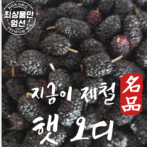 국내산 23년 햇 오디 생과 급냉 과상오디 2kg, 1개