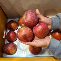 못난이 청송 문경 안동 경북 무주 상주 꿀 사과 3kg 5kg 10kg, 꼬마과 (25-28과)5kg