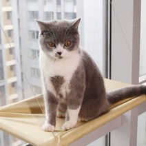 엘에스리빙 고양이 윈도우 침대 창문 해먹, 1개
