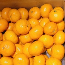 프리자연 제주 특상품 프리미엄 고당도 하우스 노지감귤 로얄 소과 3kg 5kg 10kg 농장직송, 특품 소과 5kg