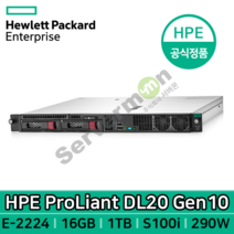 HPE 프로라이언트 DL20G10 서버 (E-2224/16GB/2LFF/S100i/1TB HDD/290W/레일킷/OS미포함)_서버윈도우계열설치가능버전