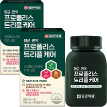 그린 프로폴리스 머빈스 츄어블 브라질 면역력 항산화 항균 구강 60캡슐, 2개 60캡슐