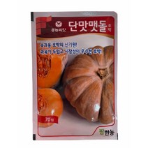 단맛맷돌 호박 70립 호박씨앗 팜한농 [22년포장]