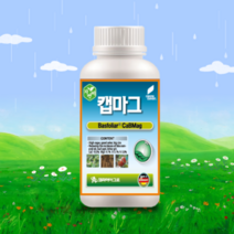 코리아아그로 캡마그200ml 식물영양제 근비대 고토 붕소 복합 액제, 1개