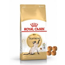 로얄캐닌 캣 샴 어덜트 고양이 사료 4kg 묘종 맞춤 영양 1021457, 샴 어덜트 4kg