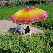 [OXloveox] 심플 파라솔 간편설치 낚시 비치 파라솔